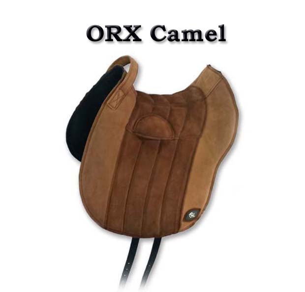 ORX Camel